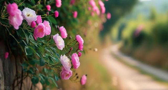 害怕失去你,宁愿宠坏你一辈子的星座男!温柔暴力,甜蜜情感牢笼