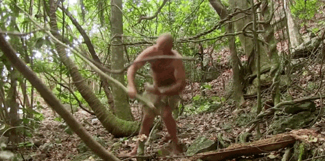 荒野求生专家德爷在中国“栽了”？求生还没开始，已笑死在评论区