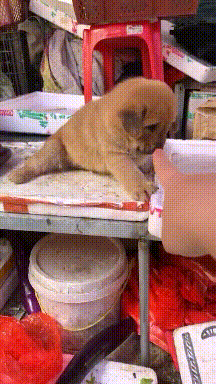 叶玉卿为艺术献身的五部电影,你要都看过,真是慧眼识珠!