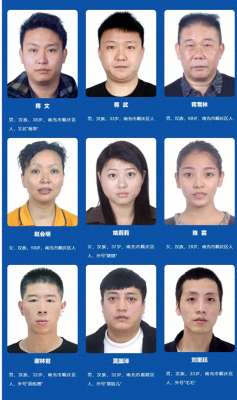 蒋武(蒋文蒋武家族式犯罪集团覆灭，四川南充有奖征集线索)