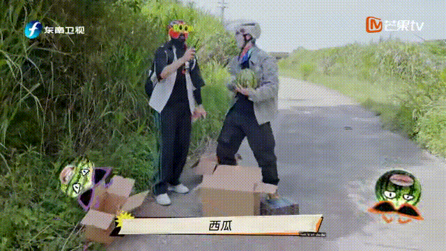 年度国产综艺天花板，不看后悔一整年