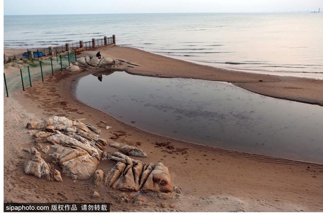 暑期去北戴河看海拾贝喂动物，乐趣满满