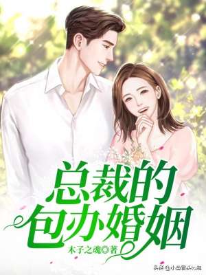 总裁黄色小说(推荐三本豪门总裁小说 编剧 指导情色片 遇男神 过没羞没臊的夫妻生活)