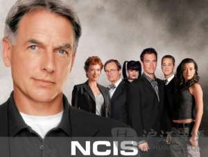 反恐特警组(10部好看的高分悬疑美剧，喜欢的马住慢慢刷吧)