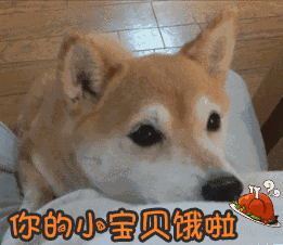 “百粤美食第一人”竟然是他！姓“江”的佛山街坊，你们祖先好威水~