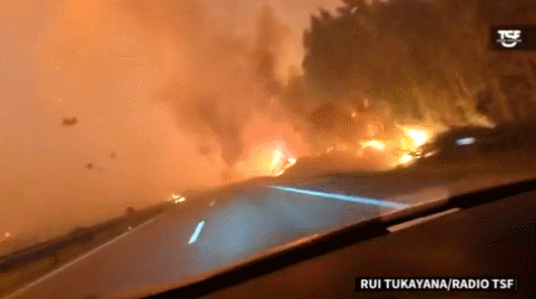 美媒：西方领导人正忙于采购能源，已无暇顾及气候变化