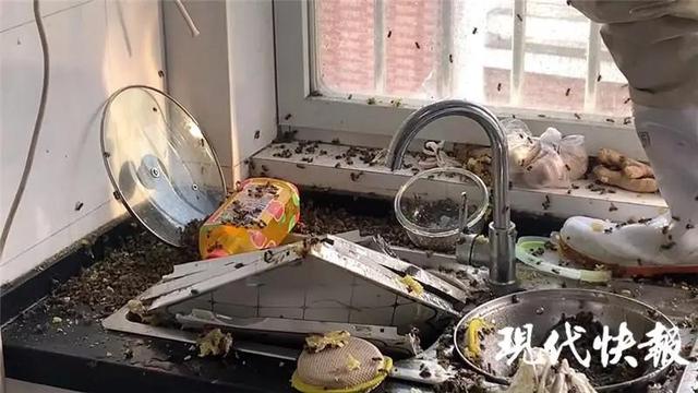 密集恐惧症慎入！天花板突然裂开，里面藏着个……