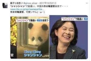 提司(华春莹出任外交部新闻司司长，犀利言辞背后是可爱灵魂)