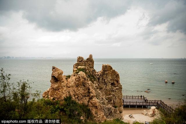 暑期去北戴河看海拾贝喂动物，乐趣满满