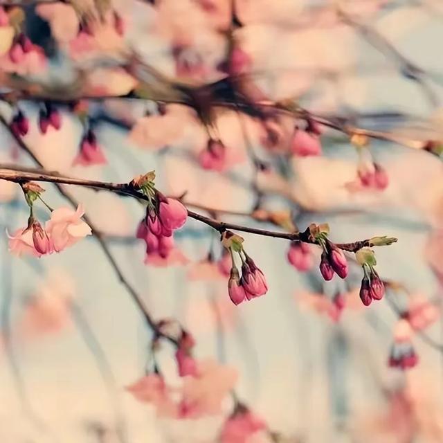 微信里的深情密码:他这样说,其实是特别特别爱你