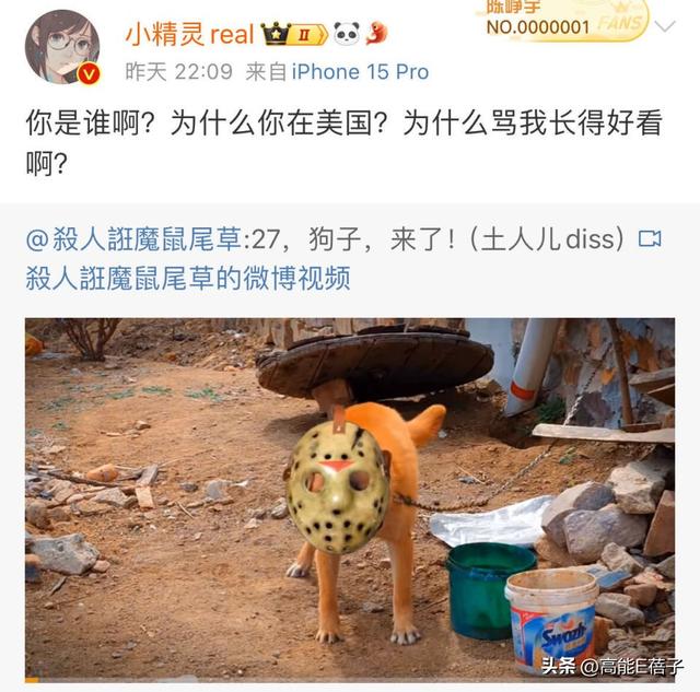 哈圈过年?法老大骂“土狗”杨和苏自认“媚粉”,发生了什么?