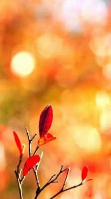 淋雨一直走(淋雨一直走)