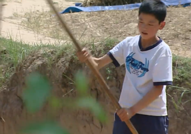 《变形计》16年后，这个青海农村娃高占喜诠释了：读书改变命运！