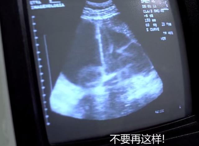 《蝴蝶效应》：从平行时空、隐含作者理论，看懂埃文的重置人生