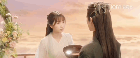 我真的后悔看《苍兰诀》了