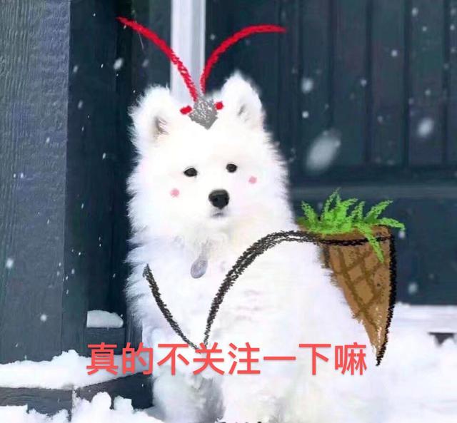 《有翡》刚完结,又一部大女主古装剧将上线,剧情比有翡还精彩