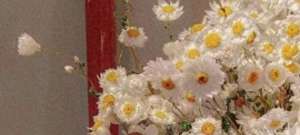 男德学院(【BL】《沙雕攻他来自男德学院[穿书]》《三步让兔子学会后空翻》)