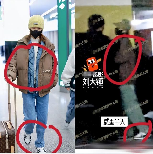 胡夏金晨恋情再添实锤,挽手遛狗同回女方家,为长辈带礼物被认可