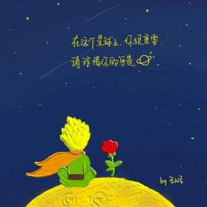 电影小王子(电影《小王子》解析：保持初心的童真)