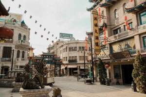 刑警罗飞(中国侦探小说百年重生：是通俗文学，更是现代进程)