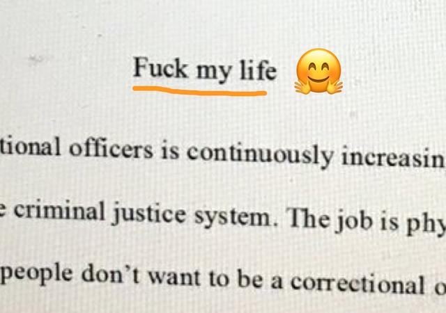 日本出了个给人用的猫窝，想当小奶猫了