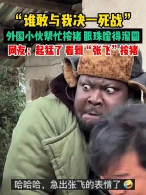 欧美人与猪(外国小伙与年猪表情的搞笑互动)