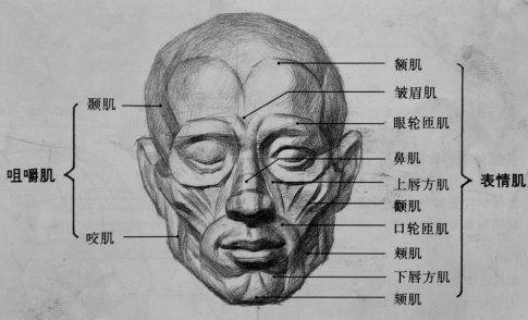 仅用双眸，他就演活了甘道夫