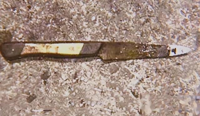 逃犯朱贤健被捕细节曝光：悬赏金额飙至70万，村民举报成功！