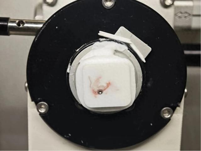 太强了！这“照相”技术