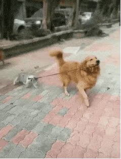 叶玉卿为艺术献身的五部电影,你要都看过,真是慧眼识珠!