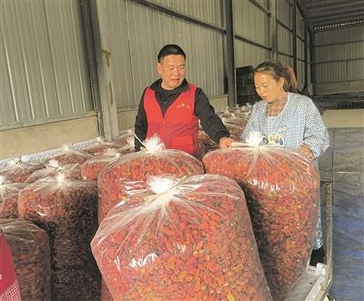 开阳县谷丰村奏响乡村振兴“椒”响曲