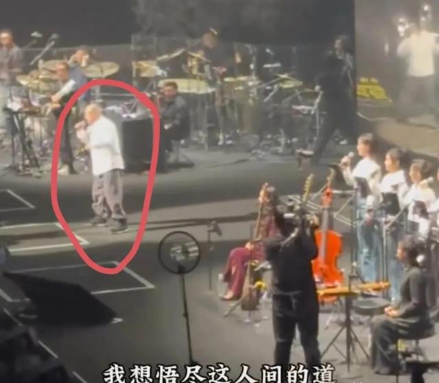 2025春晚神仙阵容？王菲陈奕迅同台？你准备好尖叫了吗？