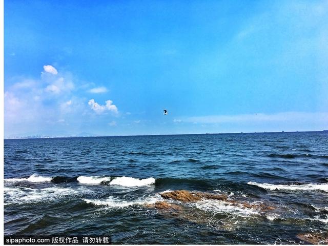 暑期去北戴河看海拾贝喂动物，乐趣满满