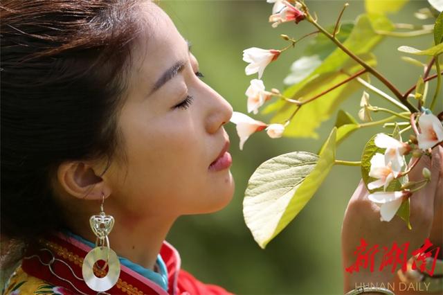 湘西龙山：脉龙山上有座桐花寨