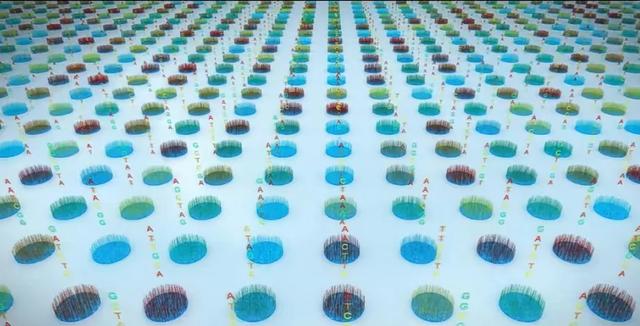 太强了！这“照相”技术