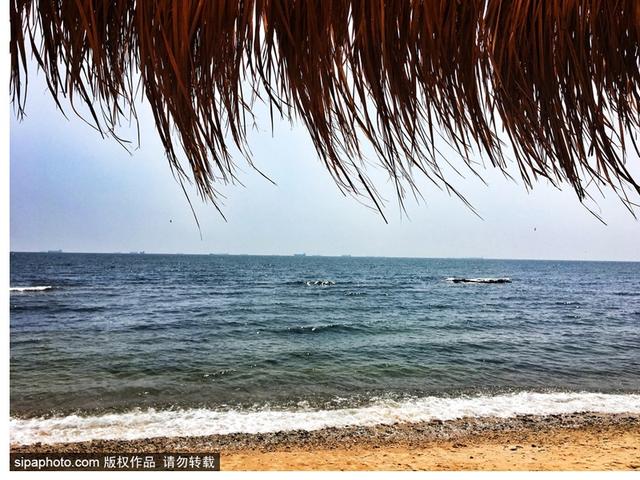 暑期去北戴河看海拾贝喂动物，乐趣满满