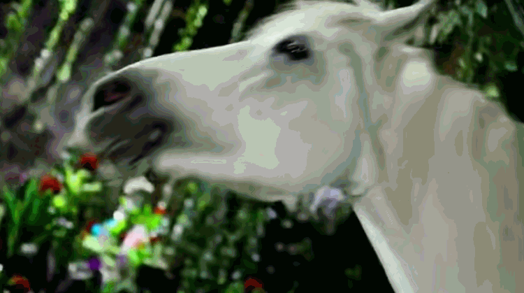 四年了，不要再捞宇文玥了