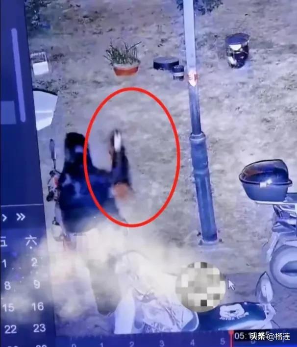 太离谱!女子小区内当众排便,事后抓起旁车衣服擦屁股,监控曝光