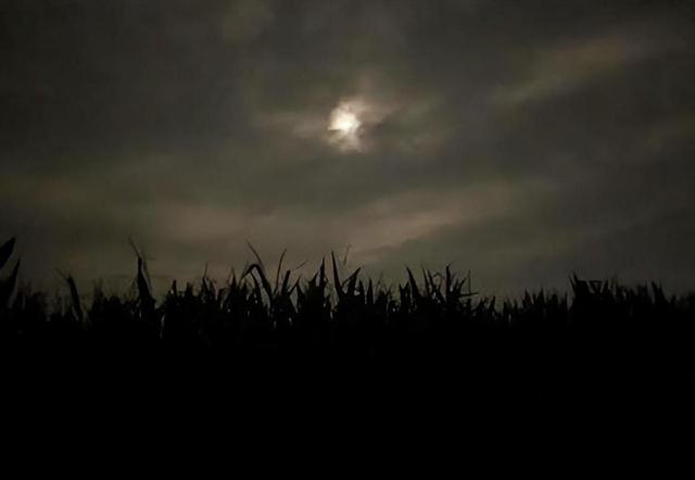 逃犯朱贤健被捕细节曝光：悬赏金额飙至70万，村民举报成功！