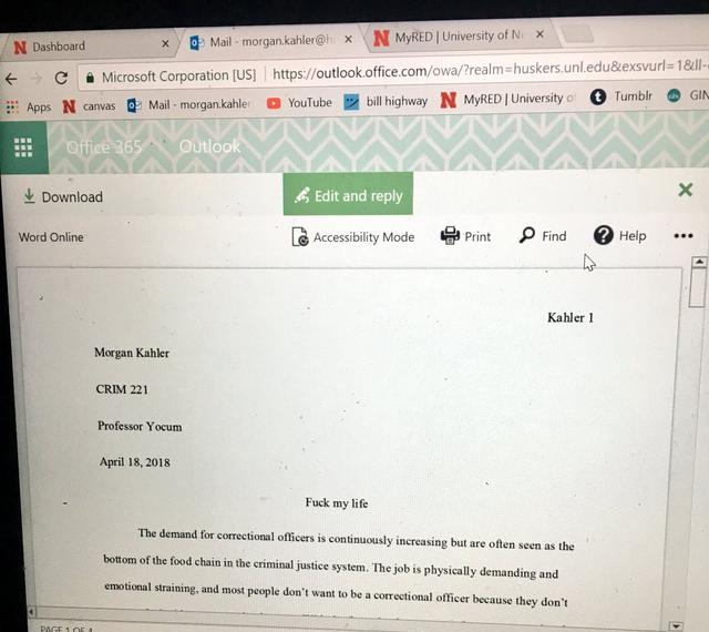 日本出了个给人用的猫窝，想当小奶猫了