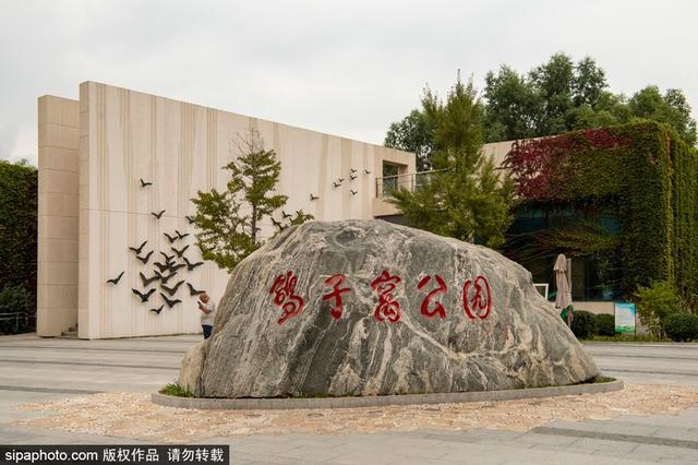 暑期去北戴河看海拾贝喂动物，乐趣满满