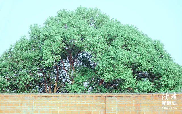 《脱口秀大会》中精彩犀利的句子，太绝了