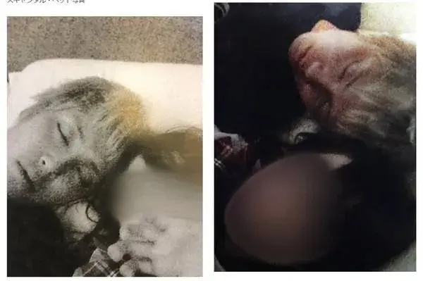 手越祐也因被杰尼斯雪藏欲退社，网友：你可快点走吧