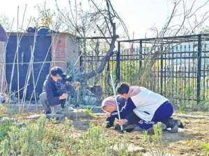 剩女也疯狂(退休不“息影”，银发族逐梦演艺圈 《流浪地球2》《剩女也疯狂》都有他们的身影)