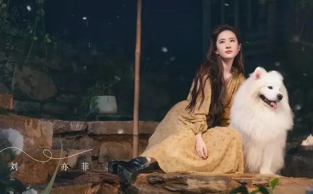 10部超级甜蜜的“甜宠爱情剧”，给生活加点糖，喜欢来看