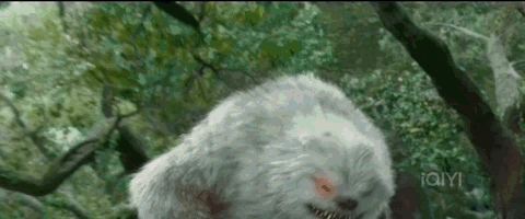 我真的后悔看《苍兰诀》了