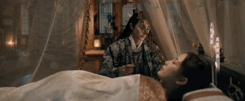 我真的后悔看《苍兰诀》了