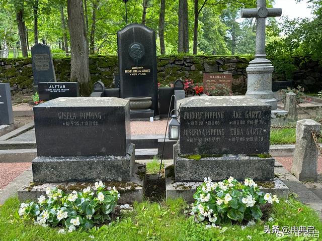 在芬兰常居10年的王姐：芬兰的贫富差距大，但是高信任社会