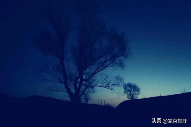 祸起萧墙（乡村家庭伦理故事）