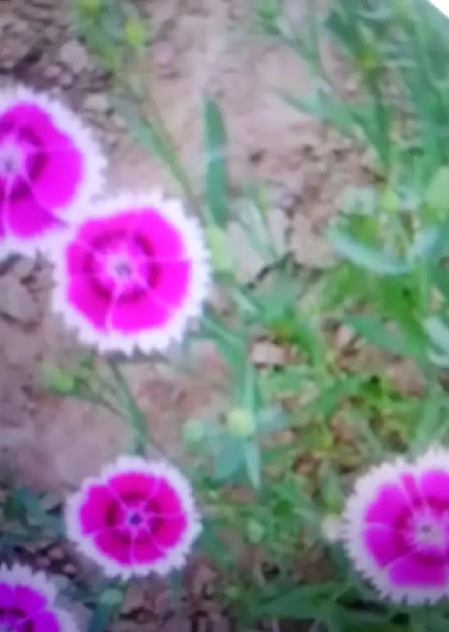 微信里的深情密码:他这样说,其实是特别特别爱你